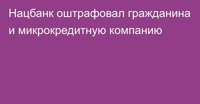 Нацбанк оштрафовал гражданина и микрокредитную компанию