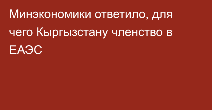 Минэкономики ответило, для чего Кыргызстану членство в ЕАЭС