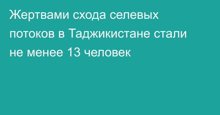 Жертвами схода селевых потоков в Таджикистане стали не менее 13 человек