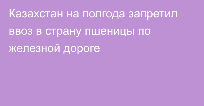 Казахстан на полгода запретил ввоз в страну пшеницы по железной дороге