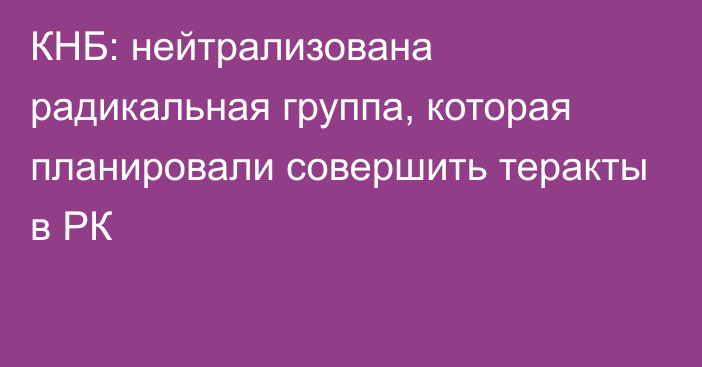 КНБ: нейтрализована радикальная группа, которая планировали совершить теракты в РК