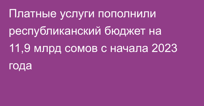 Платные услуги пополнили республиканский бюджет на 11,9 млрд сомов с начала 2023 года