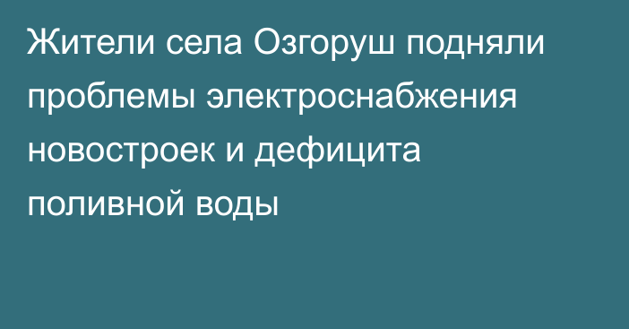 Жители села Озгоруш подняли проблемы электроснабжения новостроек и дефицита поливной воды