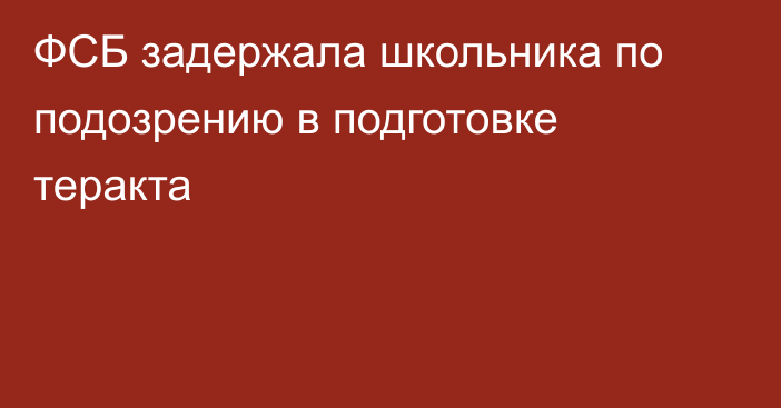 ФСБ задержала школьника по подозрению в подготовке теракта