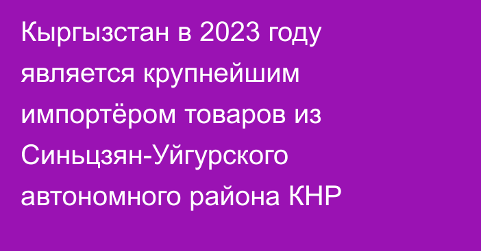 Кыргызстан в 2023 году является крупнейшим импортёром товаров из Синьцзян-Уйгурского автономного района КНР