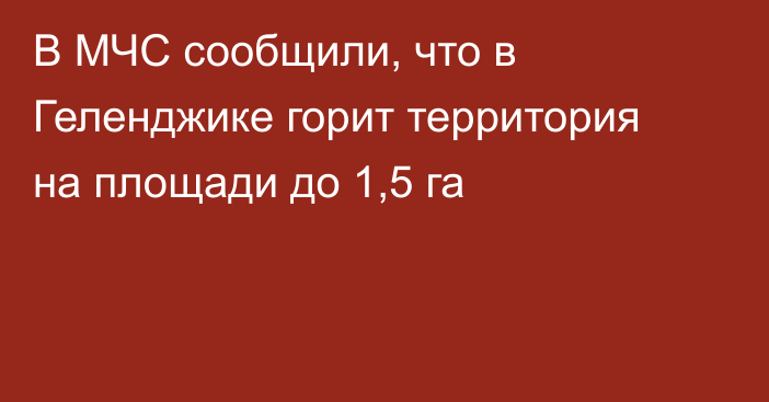 В МЧС сообщили, что в Геленджике горит территория на площади до 1,5 га