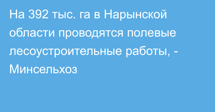 На 392 тыс. га в Нарынской области проводятся полевые лесоустроительные работы, - Минсельхоз