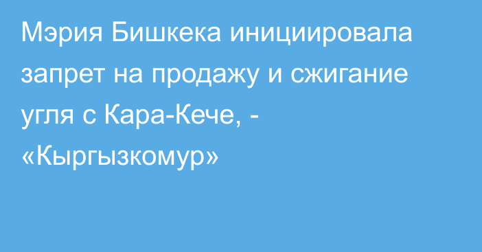 Мэрия Бишкека инициировала запрет на продажу и сжигание угля с Кара-Кече, - «Кыргызкомур»