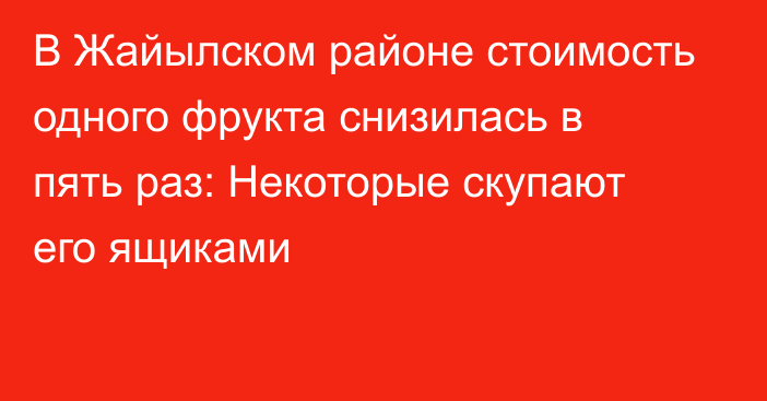 В Жайылском районе стоимость одного фрукта снизилась в пять раз: Некоторые скупают его ящиками