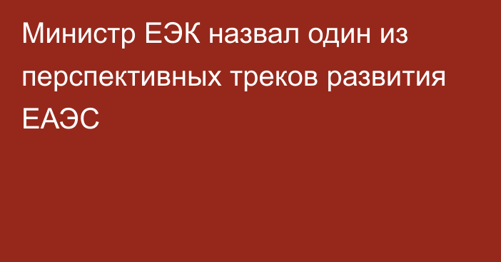 Министр ЕЭК назвал один из перспективных треков развития ЕАЭС