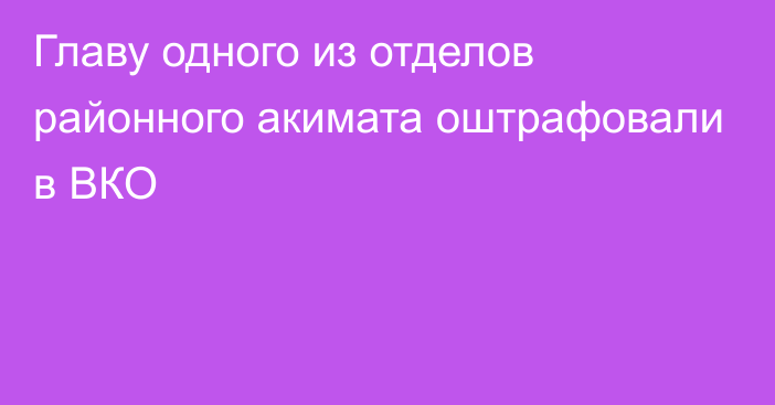 Главу одного из отделов районного акимата оштрафовали в ВКО