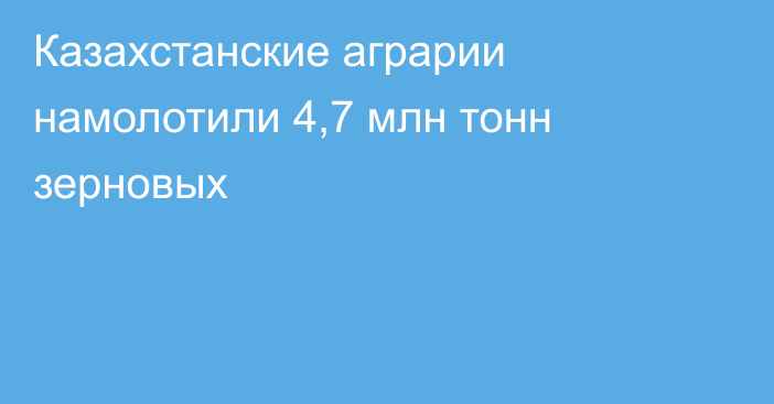 Казахстанские аграрии намолотили 4,7 млн тонн зерновых