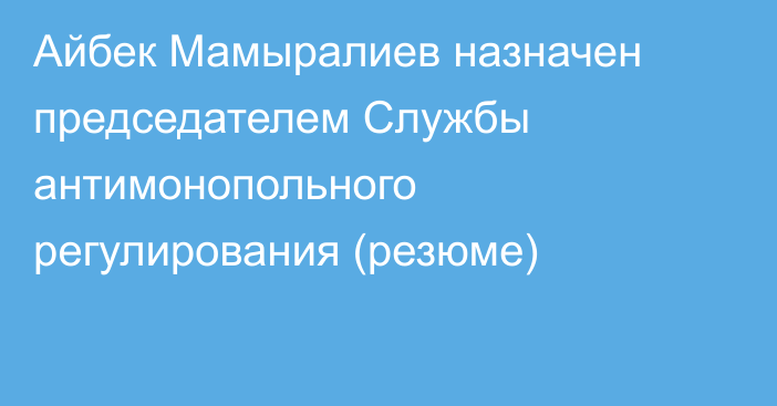 Айбек Мамыралиев назначен председателем Службы антимонопольного регулирования (резюме)