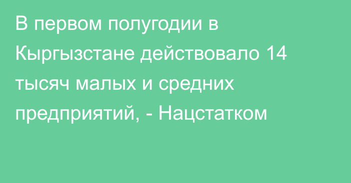 В первом полугодии в Кыргызстане действовало 14 тысяч малых и средних предприятий, - Нацстатком