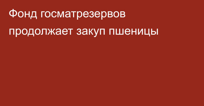 Фонд госматрезервов продолжает закуп пшеницы