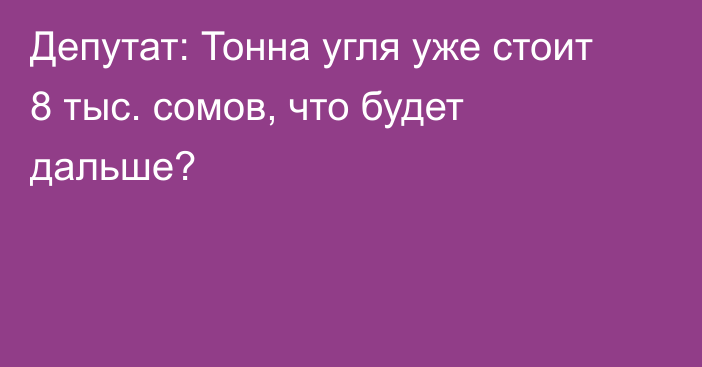 Депутат: Тонна угля уже стоит 8 тыс. сомов, что будет дальше?