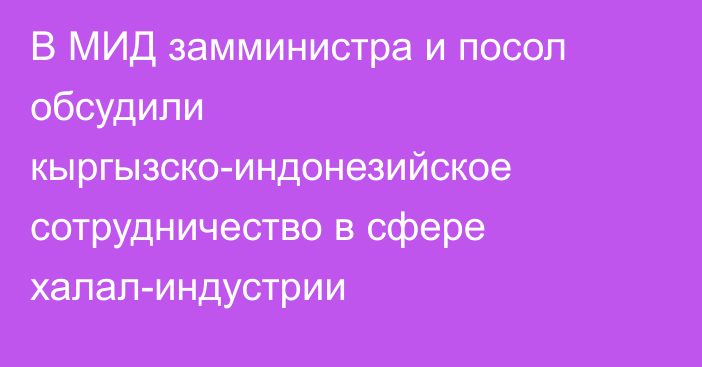 В МИД замминистра и посол обсудили кыргызско-индонезийское сотрудничество в сфере халал-индустрии