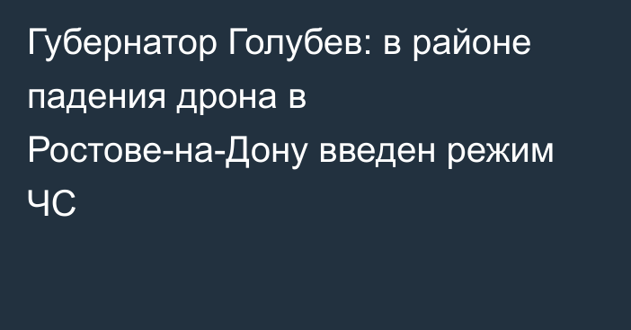 Губернатор Голубев: в районе падения дрона в Ростове-на-Дону введен режим ЧС