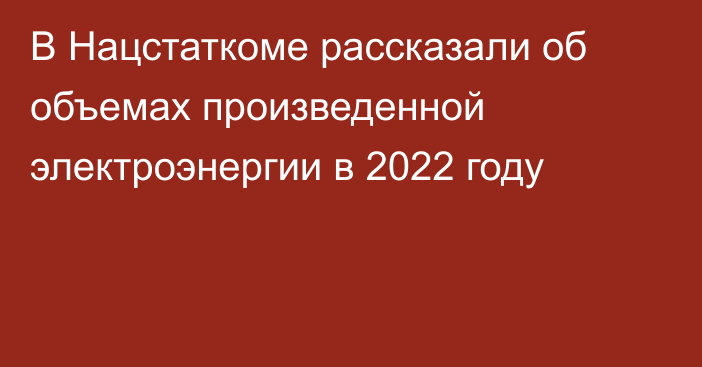 В Нацстаткоме рассказали об объемах произведенной электроэнергии в 2022 году