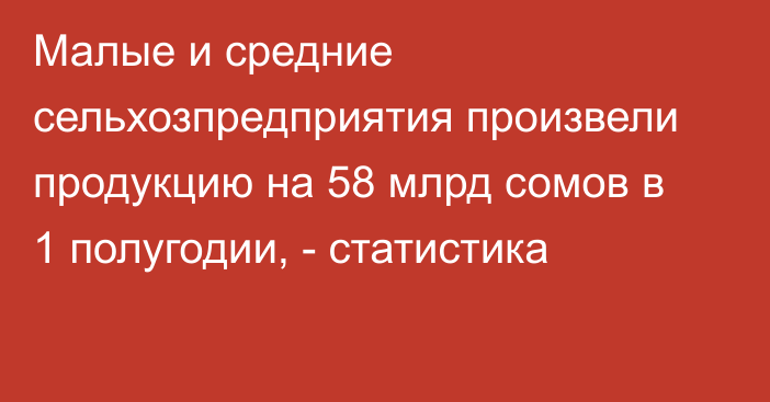 Малые и средние сельхозпредприятия произвели продукцию на 58 млрд сомов в 1 полугодии, - статистика