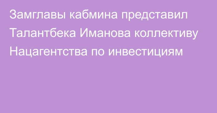 Замглавы кабмина представил Талантбека Иманова коллективу Нацагентства по инвестициям