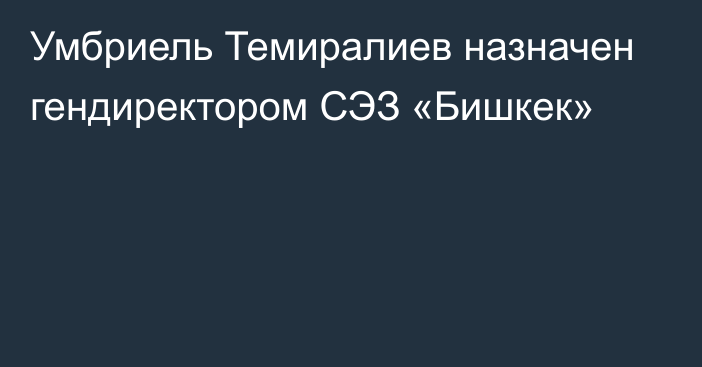 Умбриель Темиралиев назначен гендиректором СЭЗ «Бишкек»