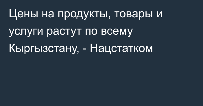 Цены на продукты, товары и услуги растут по всему Кыргызстану, - Нацстатком