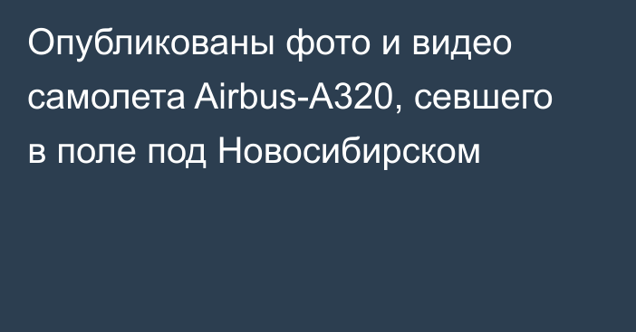 Опубликованы фото и видео самолета Airbus-A320, севшего в поле под Новосибирском
