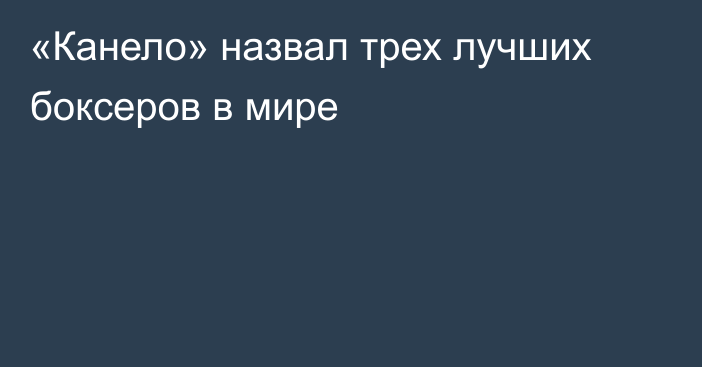 «Канело» назвал трех лучших боксеров в мире