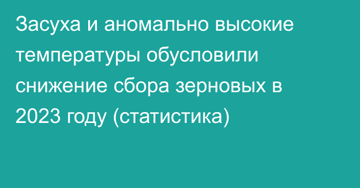 Засуха и аномально высокие температуры обусловили снижение сбора зерновых  в 2023 году (статистика)