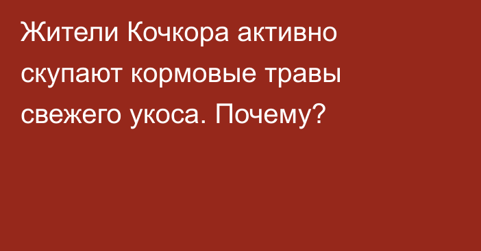 Жители Кочкора активно скупают кормовые травы свежего укоса. Почему?