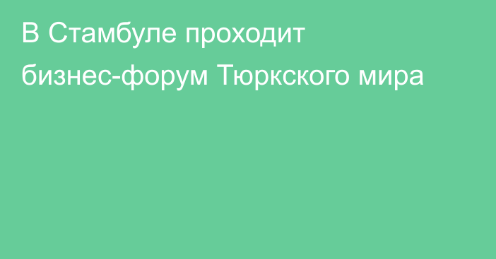 В Стамбуле проходит бизнес-форум Тюркского мира