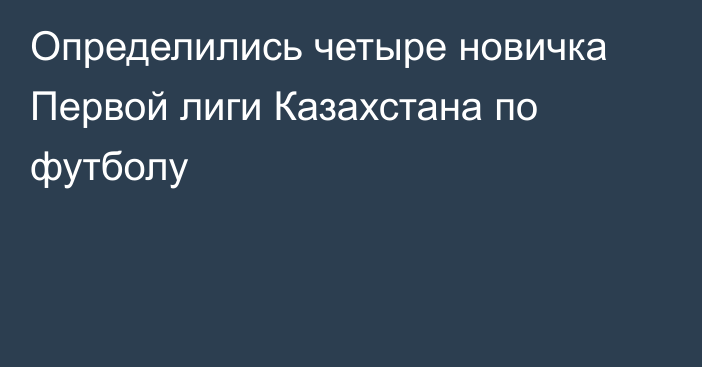 Определились четыре новичка Первой лиги Казахстана по футболу