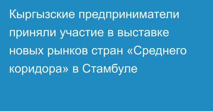 Кыргызские предприниматели приняли участие в выставке новых рынков стран «Среднего коридора» в Стамбуле