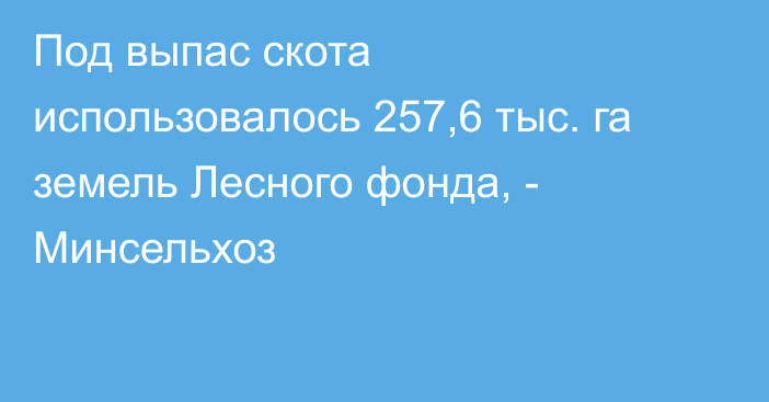 Под выпас скота использовалось 257,6 тыс. га земель Лесного фонда, - Минсельхоз