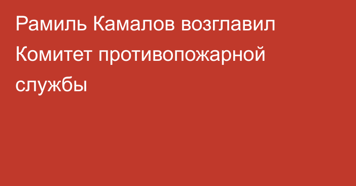 Рамиль Камалов возглавил Комитет противопожарной службы