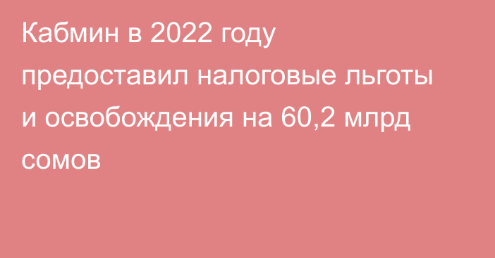 Кабмин в 2022 году предоставил налоговые льготы и освобождения на 60,2 млрд сомов