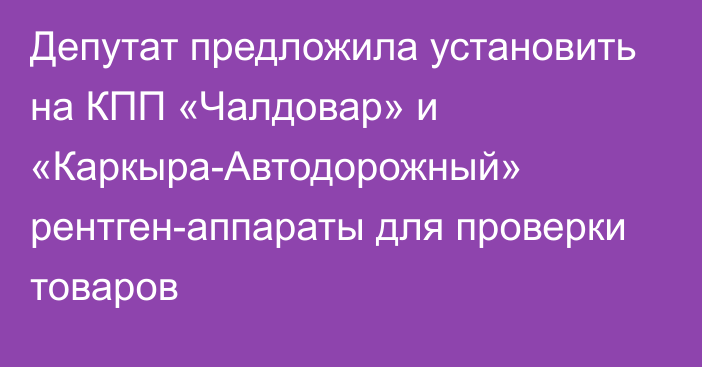 Депутат предложила установить на КПП «Чалдовар» и «Каркыра-Автодорожный» рентген-аппараты для проверки товаров