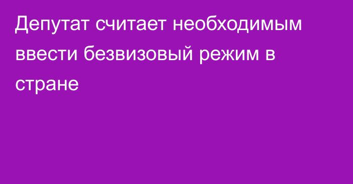 Депутат считает необходимым ввести безвизовый режим в стране