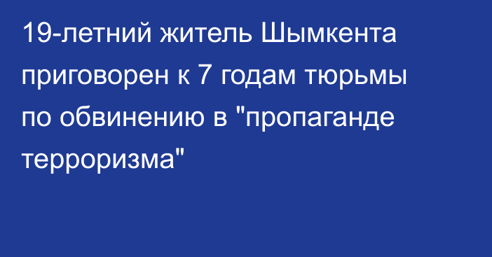 19-летний житель Шымкента приговорен к 7 годам тюрьмы по обвинению в 