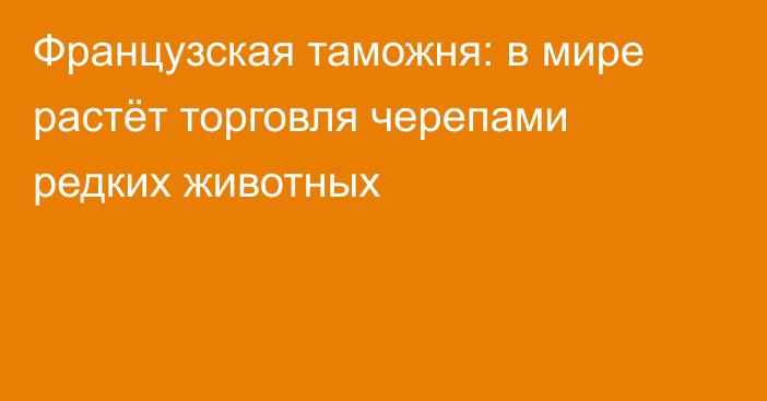 Французская таможня: в мире растёт торговля черепами редких животных