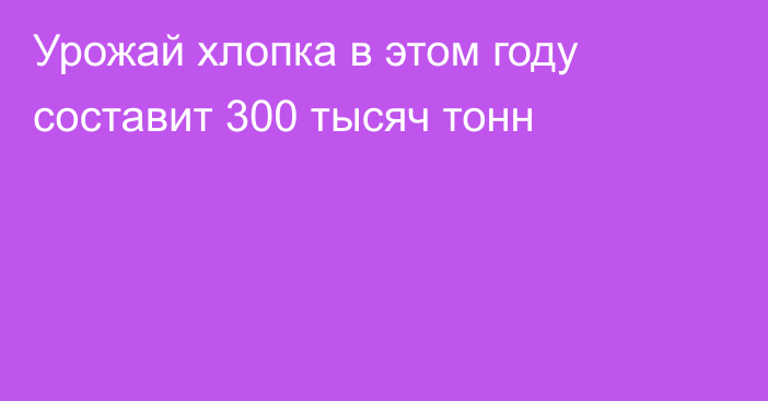 Урожай хлопка в этом году составит 300 тысяч тонн