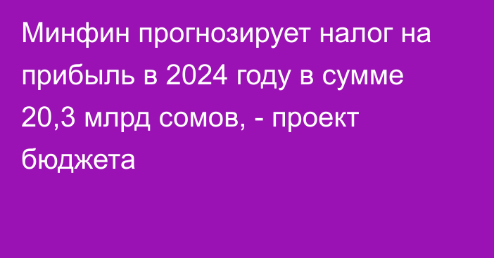 Минфин прогнозирует налог на прибыль в 2024 году в сумме 20,3 млрд сомов, - проект бюджета