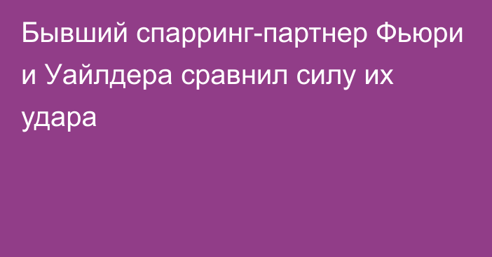 Бывший спарринг-партнер Фьюри и Уайлдера сравнил силу их удара