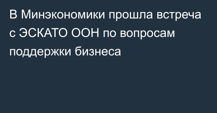 В Минэкономики прошла встреча с ЭСКАТО ООН по вопросам поддержки бизнеса