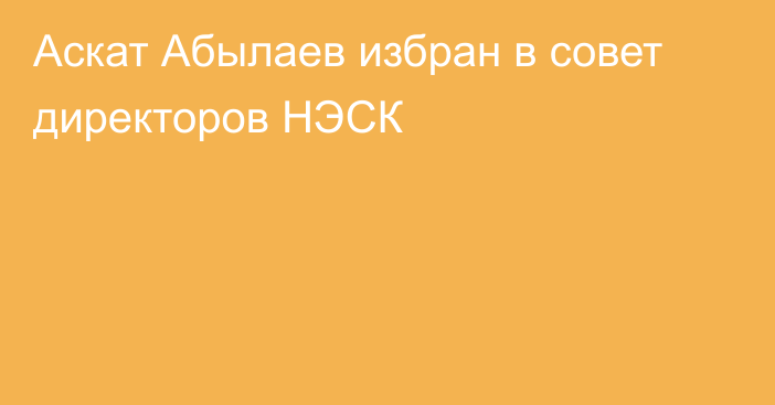 Аскат Абылаев избран в совет директоров НЭСК