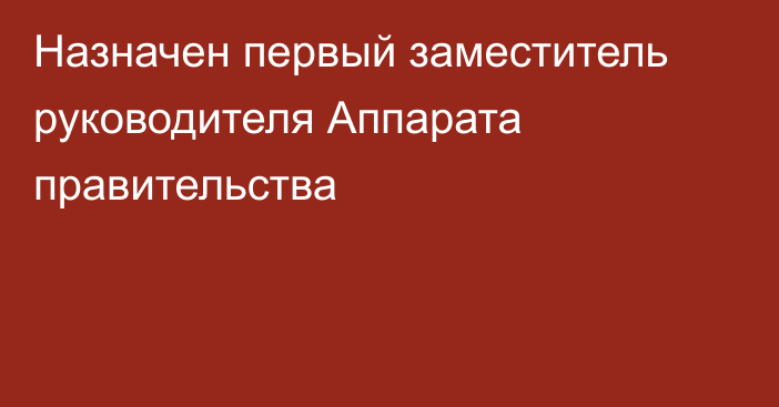 Назначен первый заместитель руководителя Аппарата правительства