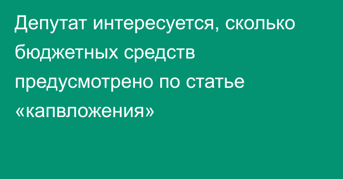 Депутат интересуется, сколько бюджетных средств предусмотрено по статье «капвложения»