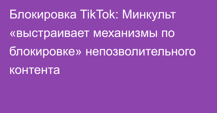 Блокировка TikTok: Минкульт «выстраивает механизмы по блокировке» непозволительного контента