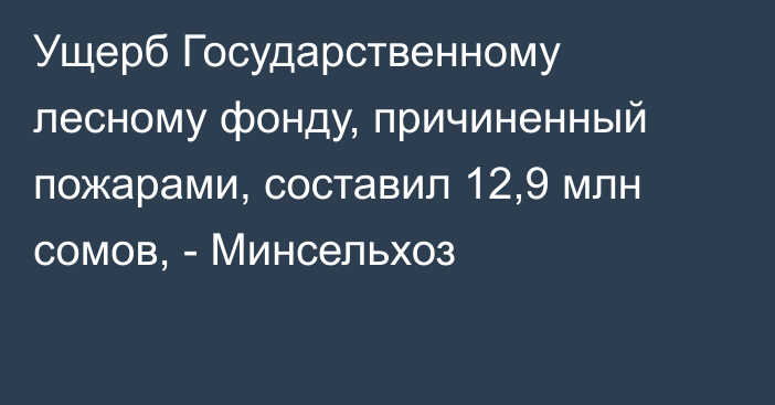 Ущерб Государственному лесному фонду, причиненный пожарами, составил 12,9 млн сомов, - Минсельхоз